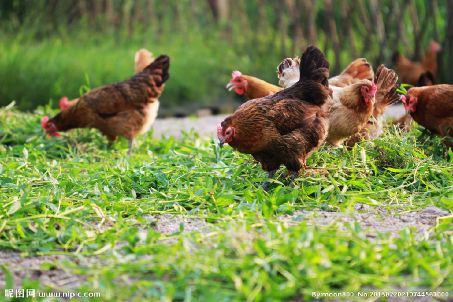 近期晝夜溫差較大，慢性呼吸道又開始猖獗了！